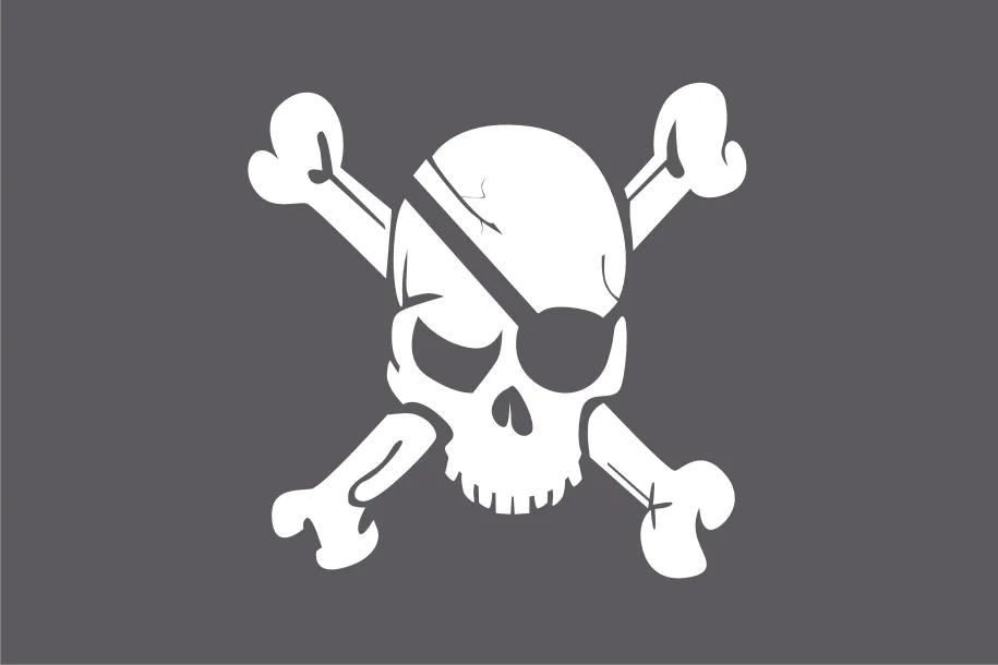 Piratas sin brújula: ¿Para que sirven las banderas piratas?