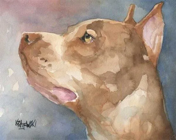 Pit Bull impresión del arte de la Acuarela por dogartstudio en Etsy Pit Bull impresión del arte de la Acuarela por dogartstudio en Etsy