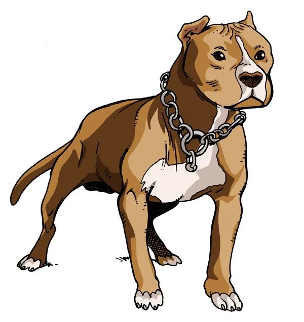 pitbull by O-Sensei on DeviantArt
