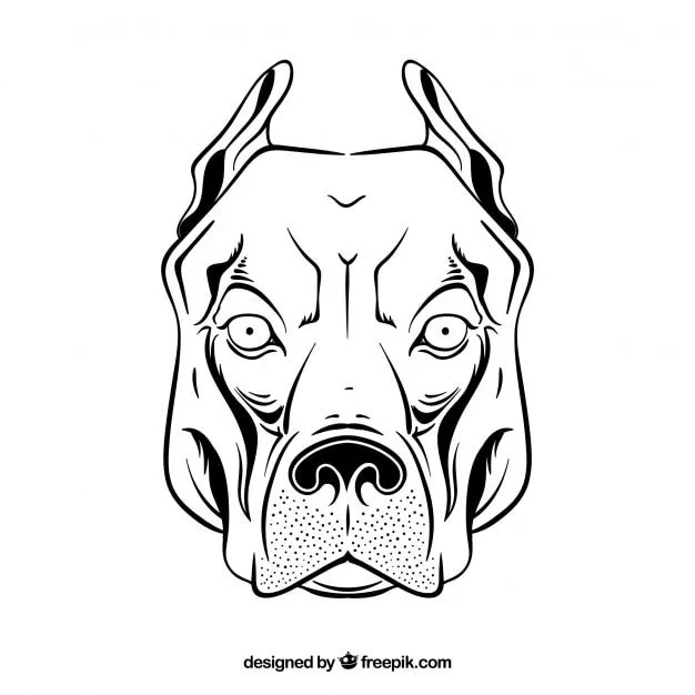 Pitbull cabeza dibujo vector icono | Descargar Vectores gratis