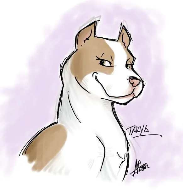 Pitbull cartoon - Imagui