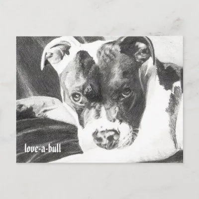 Perrito de Pitbull en el lápiz 4 de Jacob Grimm de Zazzle.es Perrito de Pitbull en el lápiz 4 de Jacob Grimm de Zazzle.es