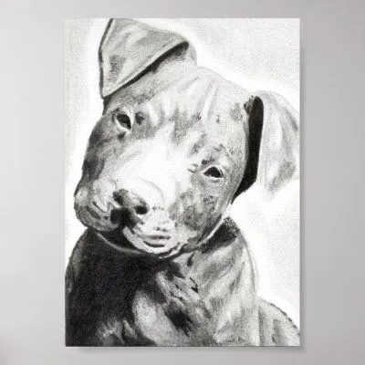 Perrito de Pitbull en la impresión del lápiz de Ja Impresiones por ... Perrito de Pitbull en la impresión del lápiz de Ja Impresiones por ...