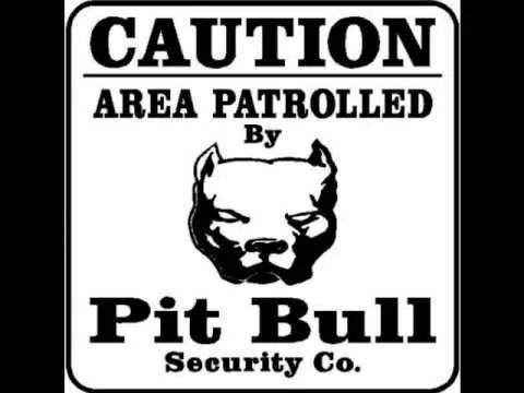 Pitbull Mafia - Vida de Apariencias.wmv - YouTube Pitbull Mafia - Vida de Apariencias.wmv - YouTube