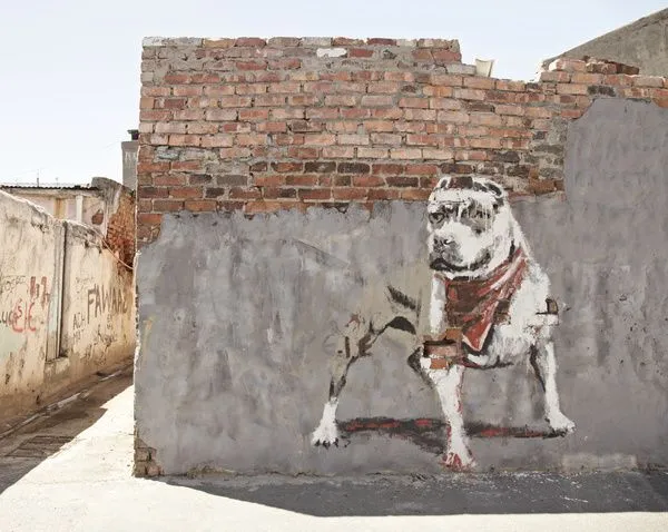 PITBULL on Pinterest | Pit Bull, Graffiti and Caribbean