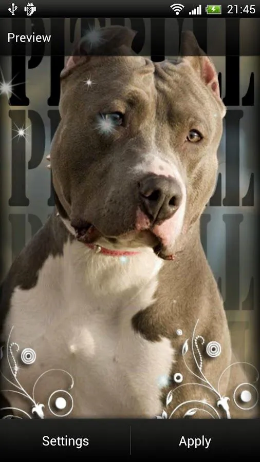 Pitbull Perro Fondo Animado - Aplicaciones Android en Google Play