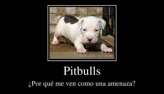 Pitbulls