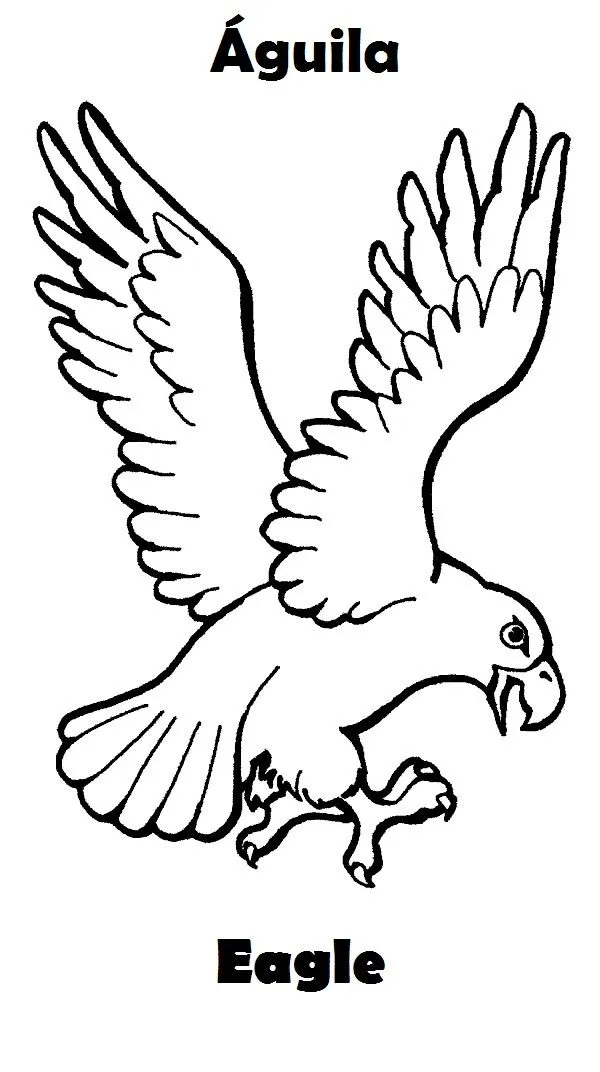 Pix For > Animales Aereos Para Colorear