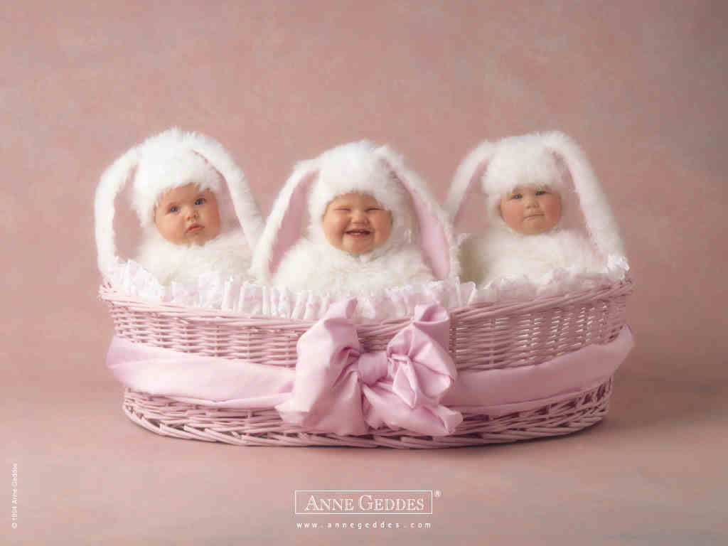 Pix For > Anne Geddes Babies Wallpaper