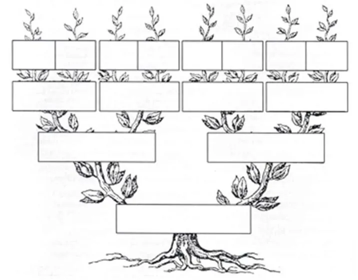 239A55B