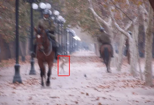 Pics For > Duendes Reales En Casas