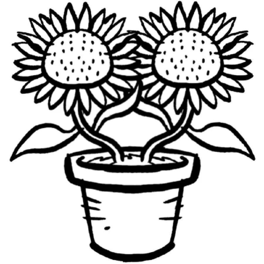 Pix For > Plantas Para Colorear