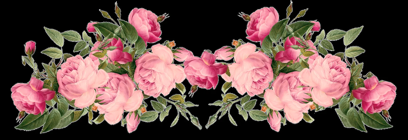 Pix For > Vintage Roses Border