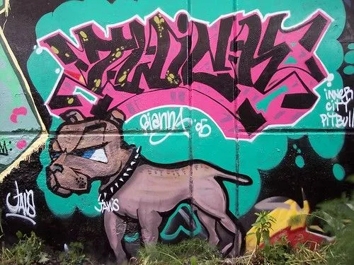 Pix graffiti pitbull photos on Pinterest