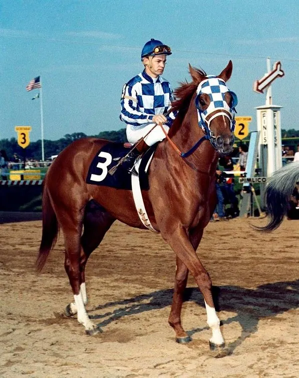 Una pizca de Cine, Música, Historia y Arte: Secretariat: Un ... Una pizca de Cine, Música, Historia y Arte: Secretariat: Un ...