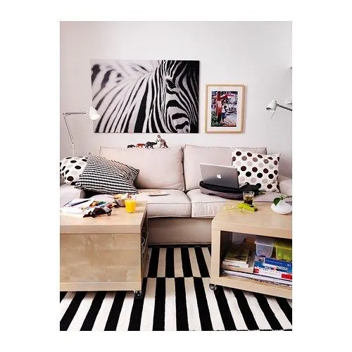 PJÄTTERYD Cuadro - IKEA