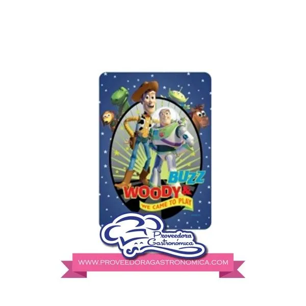 PLACA GRANDE WOODY & BUZZ