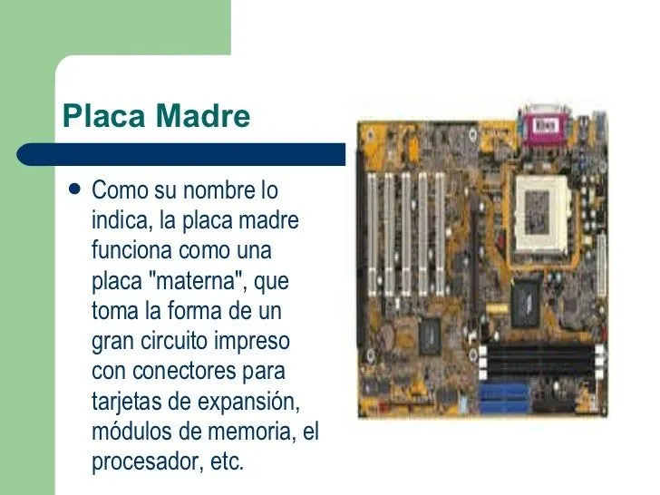 La Placa Madre Con Sus Partes Y Piezas