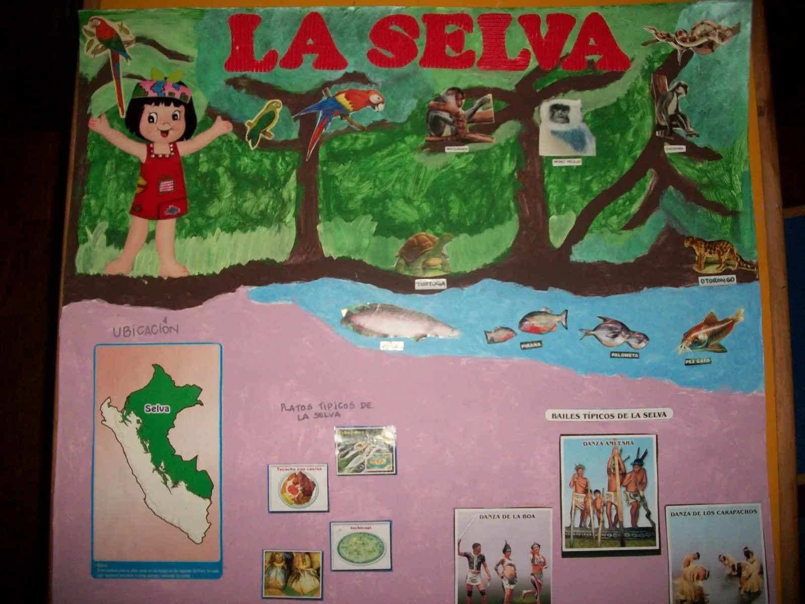 NUESTRO PLAN ESTRATEGICO: TU PRIMERA EXPOSICION: LA SELVA