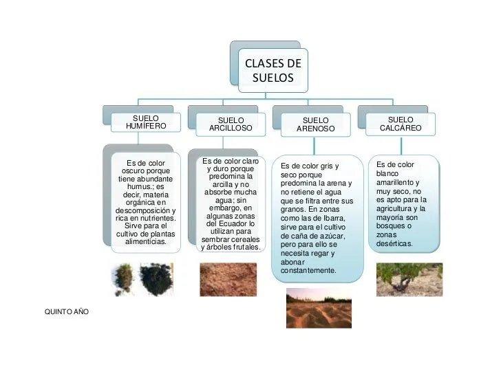 Plan de trabajo simultaneo 46