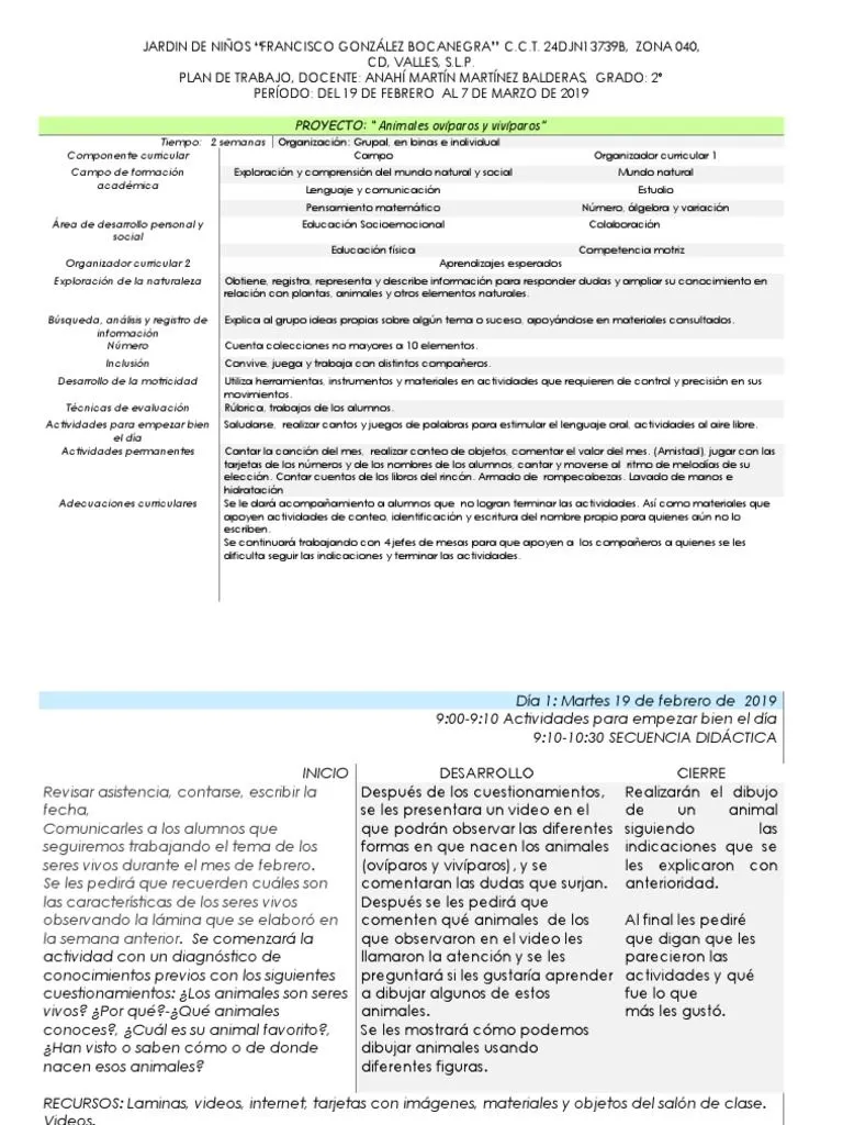 Planeacion Viviparos Hgy-1 2 | PDF | Educación de la primera infancia | Cognición Planeacion Viviparos Hgy-1 2 | PDF | Educación de la primera infancia | Cognición