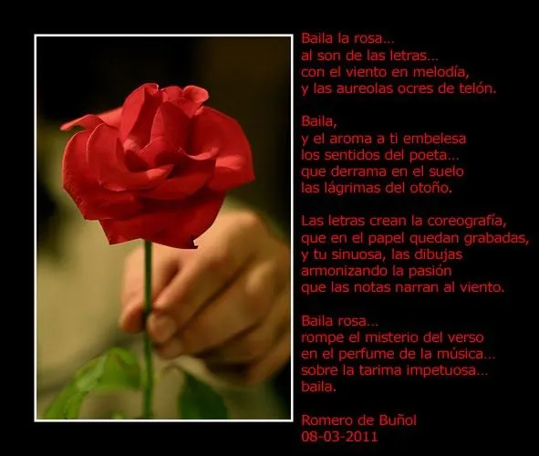 Planeta de Escritores: baila la rosa Planeta de Escritores: baila la rosa