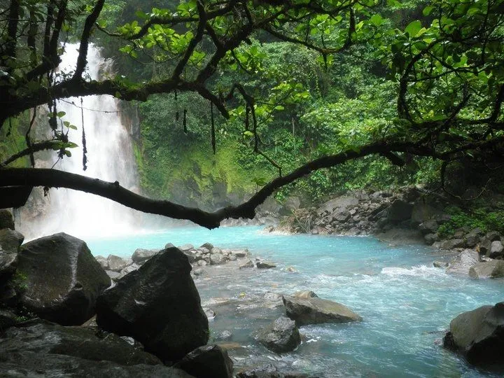 Planeta mágico. El río Celeste de Costa Rica. | Tejiendo el mundo
