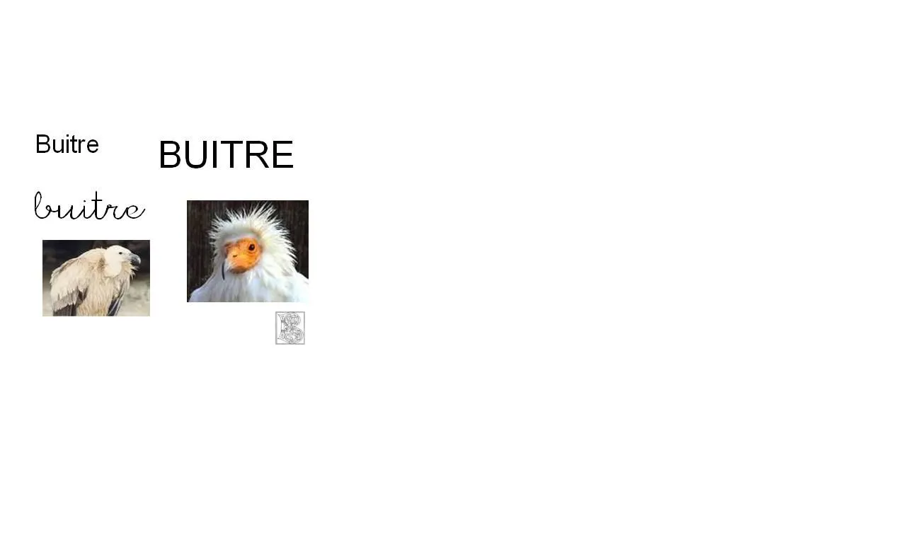 El Planeta De Las Palabras Que Empiezan Por La Letra B Pictures