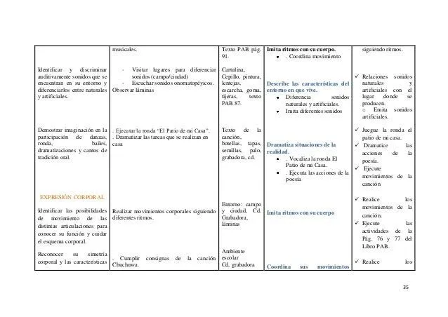 PLANIFICACION MICROCURRICULAR