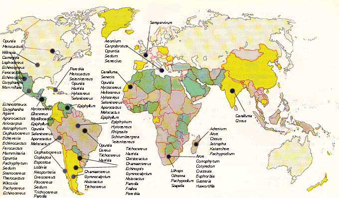 Mapa planisferio en inglés - Imagui