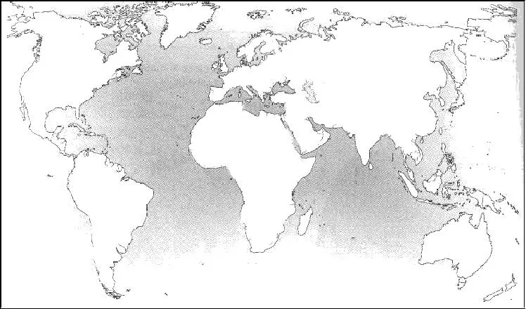 Immagini planisfero da stampare - Imagui