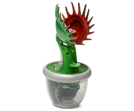 Planta Carnívora com Sensor de Movimento « Blog de Brinquedo
