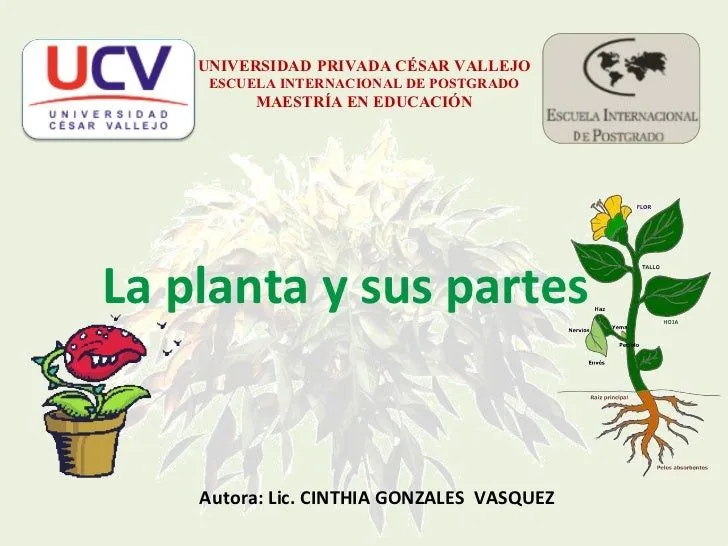 La Planta Y Sus Partes