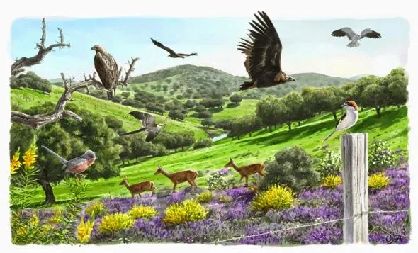 PlantArte en tu Oasis. Paisajismo y naturaleza para todos ... PlantArte en tu Oasis. Paisajismo y naturaleza para todos ...