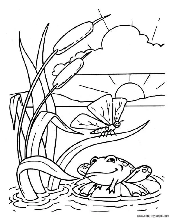 dibujo-de-rana-023 | Dibujos y juegos, para pintar y colorear dibujo-de-rana-023 | Dibujos y juegos, para pintar y colorear