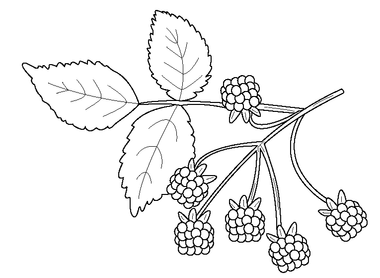 Plantas alimenticias para colorear - Imagui Plantas alimenticias para colorear - Imagui