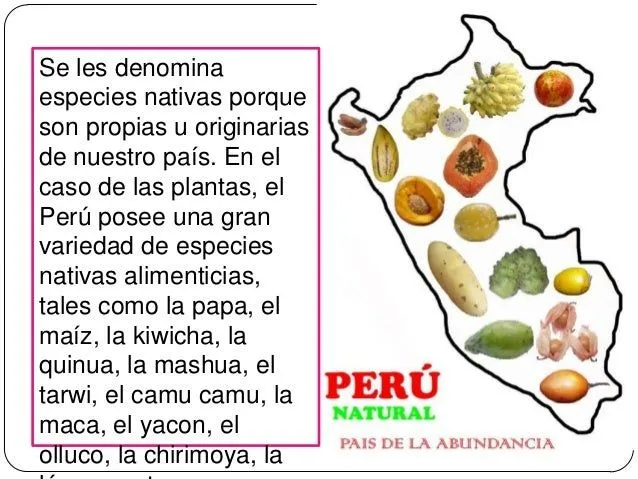 Plantas y animales nativos del Perú