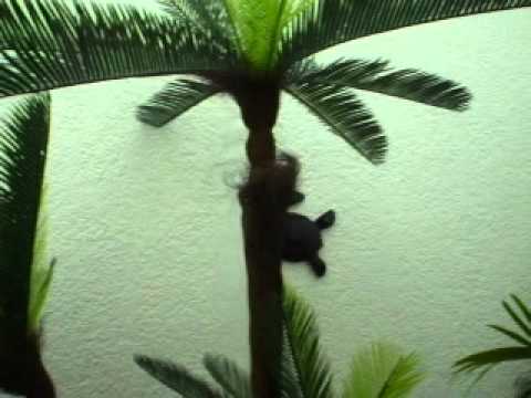 PLANTAS ARTIFICIALES Y FLORES ECONOMICAS ELEGANTES - YouTube PLANTAS ARTIFICIALES Y FLORES ECONOMICAS ELEGANTES - YouTube