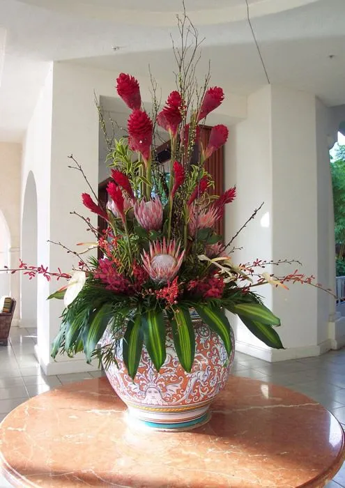 Plantas Artificiales Madrid Centro - Brasil Top News - Brasil Top News