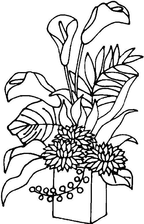 Planta ornamental para colorear - Imagui