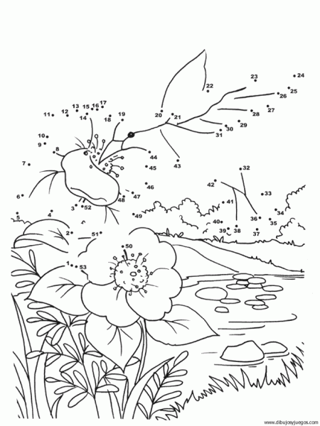 Dibujos de plantas acuaticas para colorear - Imagui