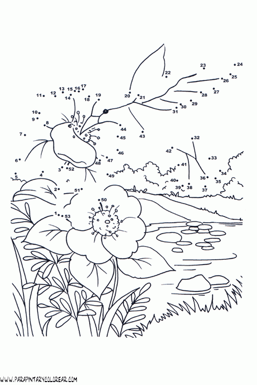 plantas-dibujar-uniendo-puntos-numeros-009