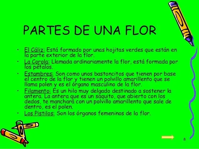 Las plantas y su glosario (para niños) actividad extra