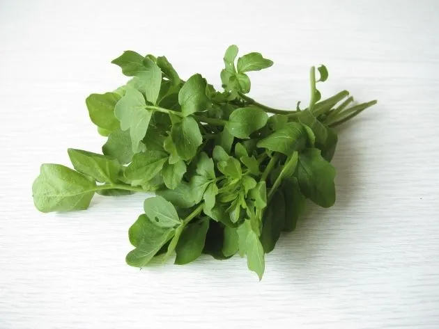 5 plantas medicinales para bajar de peso - Buena Salud