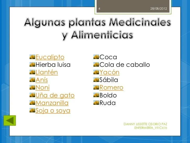 plantas-medicinales-y- ...