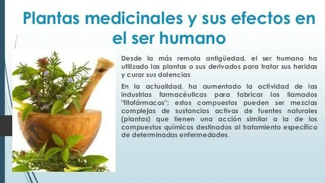 Plantas medicinales y sus efectos en el ser power