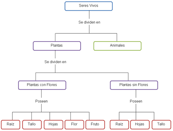 Las plantas - Monografias.com