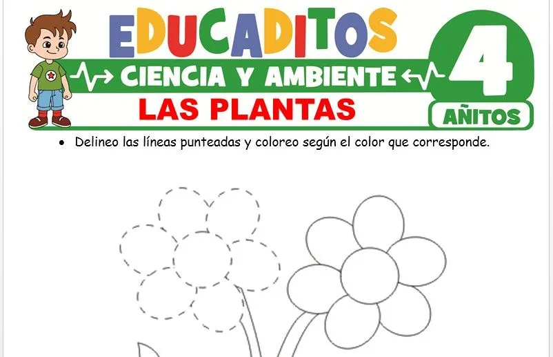 Las Plantas para Niños de 4 Años » Educaditos.com Las Plantas para Niños de 4 Años » Educaditos.com