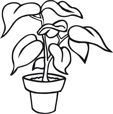 Plantas-para-colorear-faciles- ...
