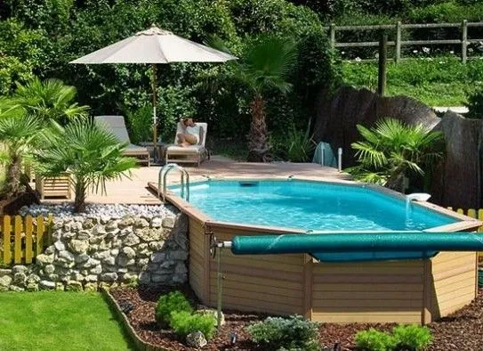 Plantas-para-decorar-un-jardin ...
